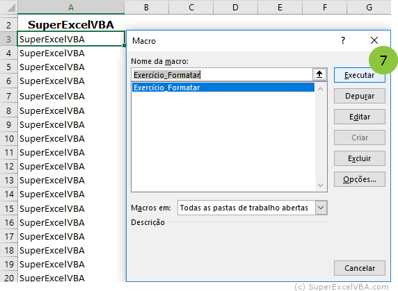Executar Macro